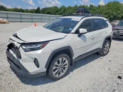 2T3C1RFV5RW351531 2024 TOYOTA RAV 4