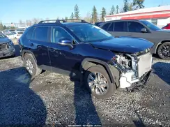 2T3C1RFV5SW367881 2025 TOYOTA RAV 4
