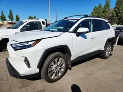 2T3C1RFV5SW374703 2025 TOYOTA RAV 4