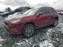 2T3C1RFV6MW136037 2021 TOYOTA RAV 4