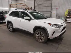 2T3C1RFV8KC026766 2019 TOYOTA RAV 4