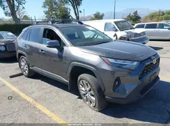 2T3C1RFV9RC260196 2024 TOYOTA RAV 4