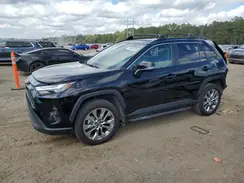2T3C1RFV9RC288726 2024 TOYOTA RAV 4