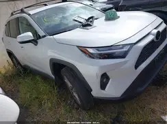 2T3C1RFV9RW352262 2024 TOYOTA RAV 4