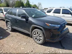 2T3C1RFVXPC247647 2023 TOYOTA RAV 4