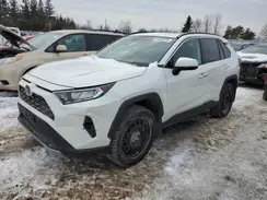 2T3D1RFV0KW040597 2019 TOYOTA RAV 4