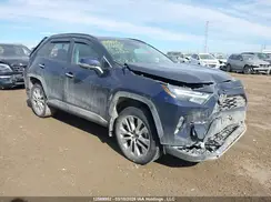 2T3D1RFV1PW375908 2023 TOYOTA RAV 4