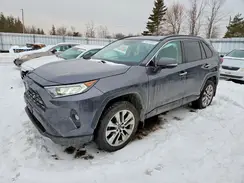 2T3D1RFV2KC005643 2019 TOYOTA RAV 4