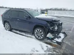 2T3D1RFV3KC024654 2019 TOYOTA RAV 4
