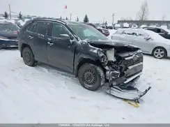 2T3D1RFV4KW020272 2019 TOYOTA RAV 4