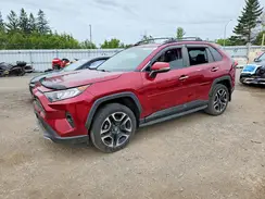 2T3D1RFV4MW174709 2021 TOYOTA RAV 4