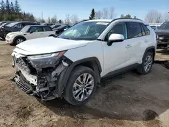 2T3D1RFV4PW366202 2023 TOYOTA RAV 4