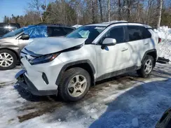 2T3D1RFV4SW613419 2025 TOYOTA RAV 4