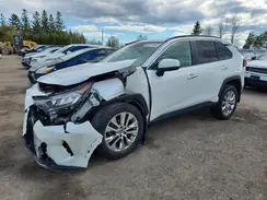 2T3D1RFV6KW008804 2019 TOYOTA RAV 4
