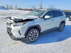 2T3D1RFV7KW003059 2019 TOYOTA RAV 4