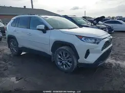 2T3D1RFV7MW168905 2021 TOYOTA RAV 4