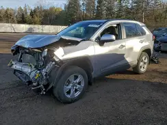 2T3D1RFVXPC351494 2023 TOYOTA RAV 4