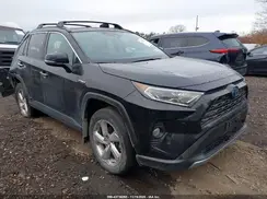 2T3D6RFV3MW021157 2021 TOYOTA RAV 4