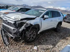 2T3D6RFV4RW049492 2024 TOYOTA RAV 4