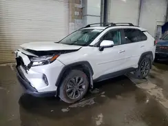 2T3D6RFV5RW065782 2024 TOYOTA RAV 4