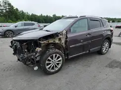 2T3DFREV0GW533271 2016 TOYOTA RAV 4