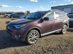 2T3DFREV1HW598826 2017 TOYOTA RAV 4