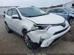 2T3DFREV4GW481207 2016 TOYOTA RAV 4
