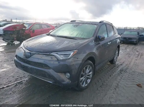 2T3DFREV4GW508017 2016 TOYOTA RAV 4 - Image 2