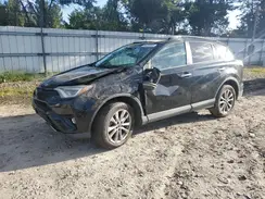 2T3DFREV4HW647081 2017 TOYOTA RAV 4