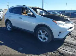 2T3DFREV4JW701579 2018 TOYOTA RAV 4