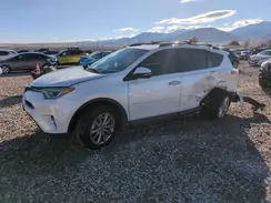 2T3DFREV7HW568035 2017 TOYOTA RAV 4