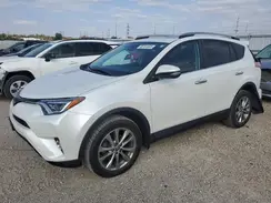 2T3DFREV7HW591105 2017 TOYOTA RAV 4