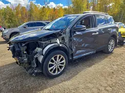 2T3DFREV7HW667986 2017 TOYOTA RAV 4