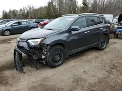 2T3DFREV8GW452471 2016 TOYOTA RAV 4