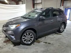 2T3DFREV8HW561983 2017 TOYOTA RAV 4