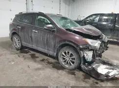 2T3DFREV9GW450194 2016 TOYOTA RAV 4