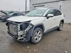 2T3DWRFV0LW049500 2020 TOYOTA RAV 4