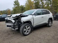 2T3DWRFV0MW103136 2021 TOYOTA RAV 4