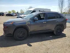 2T3DWRFV0PW163812 2023 TOYOTA RAV 4