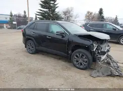 2T3DWRFV0PW167178 2023 TOYOTA RAV 4
