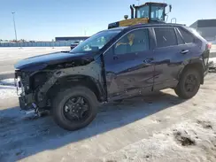 2T3DWRFV0PW171327 2023 TOYOTA RAV 4