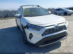 2T3DWRFV0RW213014 2024 TOYOTA RAV 4