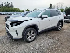 2T3DWRFV1KW012471 2019 TOYOTA RAV 4