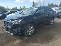 2T3DWRFV1KW020117 2019 TOYOTA RAV 4