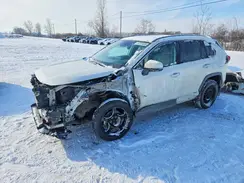 2T3DWRFV1LW094199 2020 TOYOTA RAV 4