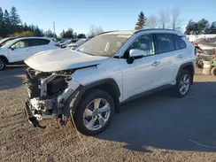 2T3DWRFV1MW103453 2021 TOYOTA RAV 4