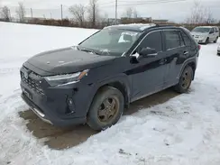 2T3DWRFV1NW136194 2022 TOYOTA RAV 4