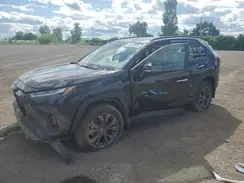 2T3DWRFV1PW161017 2023 TOYOTA RAV 4