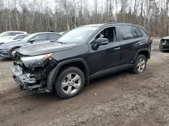 2T3DWRFV1PW169182 2023 TOYOTA RAV 4