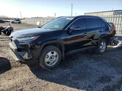 2T3DWRFV1RW188396 2024 TOYOTA RAV 4